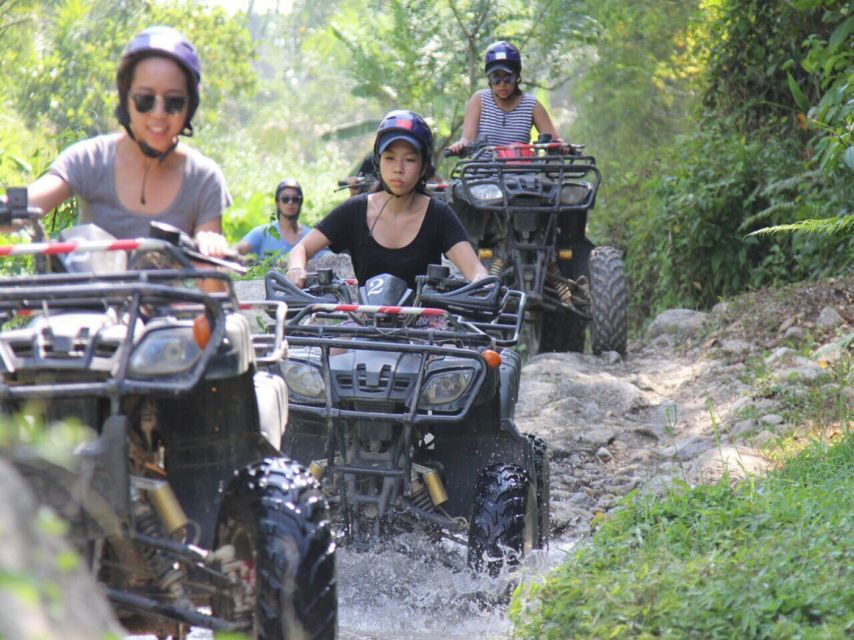 Krabi: Elephant Bathing & ATV Adventure Combo - Interacting With Free-Roaming Elephants