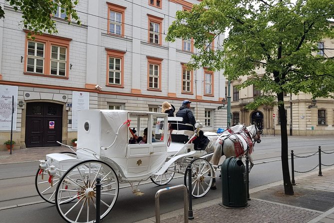 Krakow Private Walking Tour - Accessibility Features