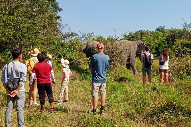 Kulen Elephant Forest and Tonle Sap Lake by Private Tour - Pickup and Cancellation Policy