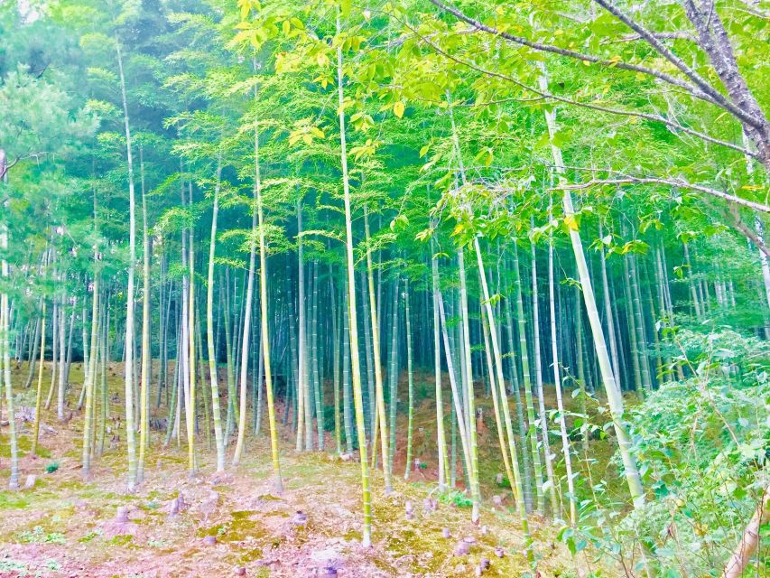 Kyoto, Arashiyama: Bamboo Grove Half-Day Private Guided Tour - Pickup and Drop-off