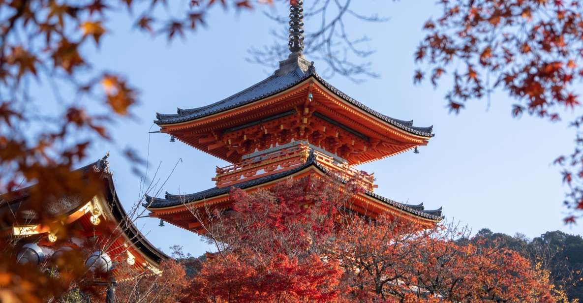 Kyoto: Personalized Guided Private Tour - Key Attractions