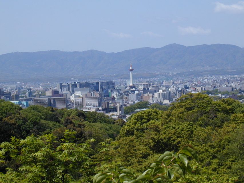 Kyoto: Private Tour With Local Licensed Guide - Inclusions