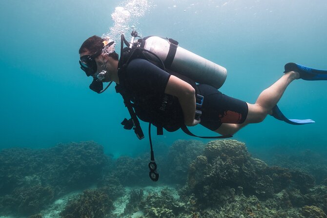 La Bombona Diving Koh Tao Try Dive - Meeting Location and Directions