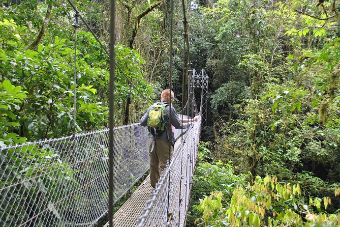 La Fortuna Waterfall, Hanging Bridges, Arenal Volcano Combo Tour - Inclusions and Amenities