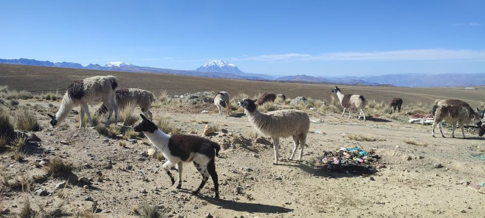 La Paz: Mountain Chacaltaya and Moon Valley Guided Day Tour - Chacaltaya Mountain Details