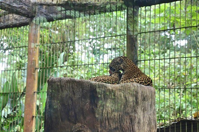 La Paz Waterfall Gardens From San José - Preparation for Your Visit