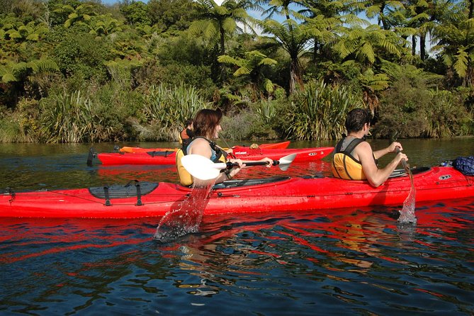 Lake Rotoiti Evening Kayak Tour Including Hot Springs, Glowworm Caves and BBQ Dinner - Kayaking Adventure Details