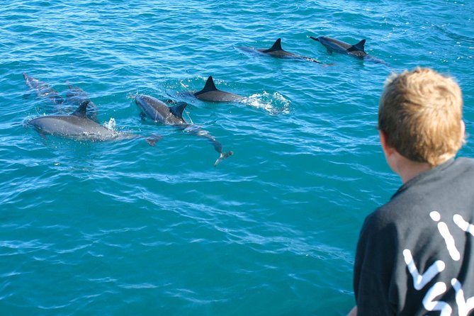 Lanai Snorkel and Dolphin Watch From Maalaea - Inclusions and Amenities