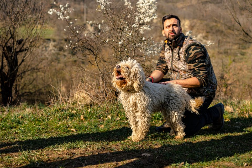 Langhe: Sunset Truffle Hunting With Tasting and Wine - Truffle Hunting Experience