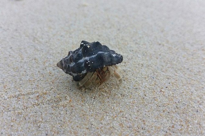 Lanta 4 Islands + Emerald Cave Snorkeling Tour - Meeting and Pickup Details