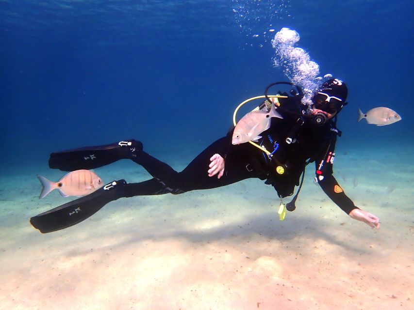 Lanzarote: Beginner Diving Course Costa Teguise (2 Dives) - Safety Measures