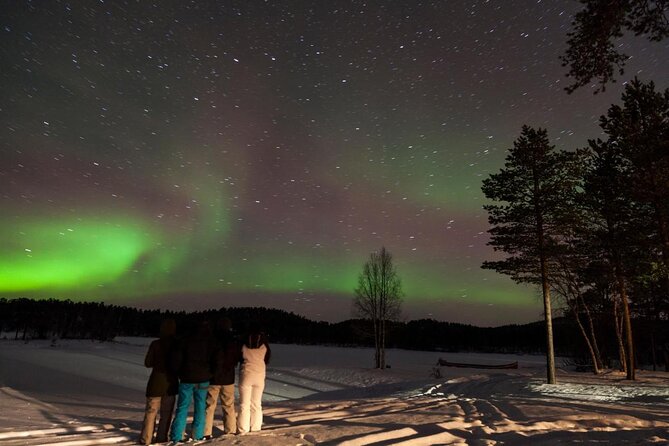 Lapland Husky Safari From Saariselkä - Accessibility Features