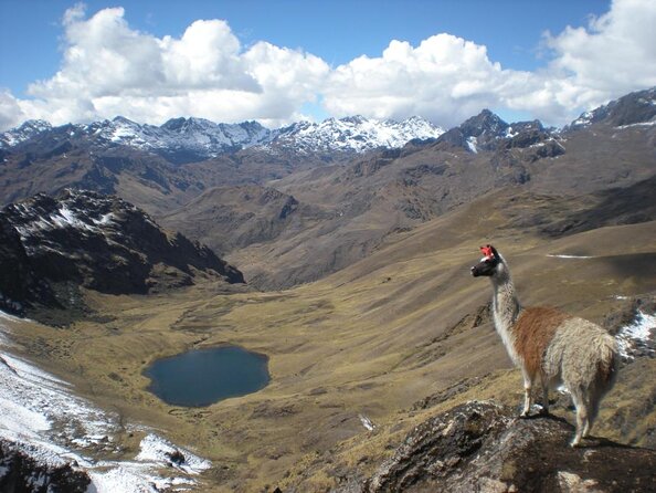 Lares Trek to Machu Picchu 4 Days With Panoramic Train - Itinerary Breakdown