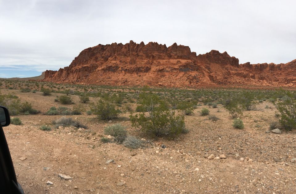 Las Vegas: Valley of Fire and Zion National Park 1-Day Tour - Witnessing Valley of Fire