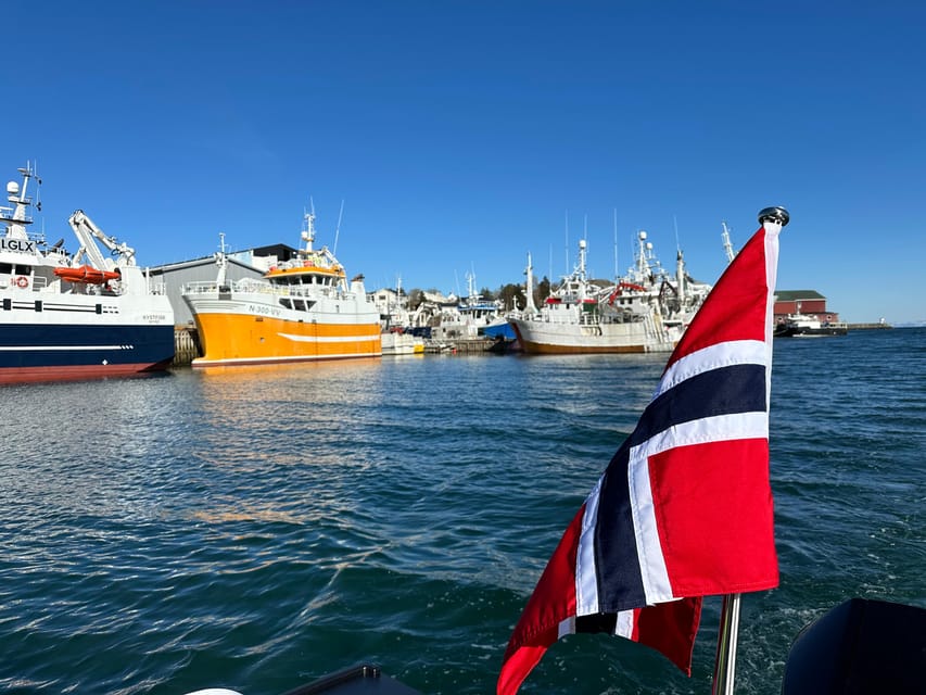 Leknes: 4 Hours Private Exclusive Boat Sightseeing - Wildlife Watching Opportunities