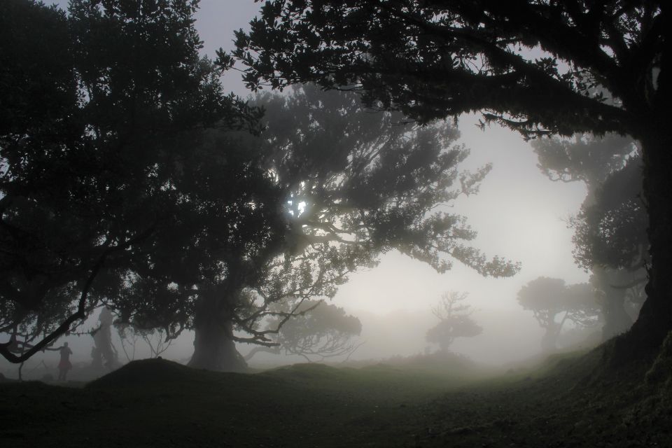 Let-Me-Surprise-You Madeira Full Day Private Tour - Your Experienced Guide