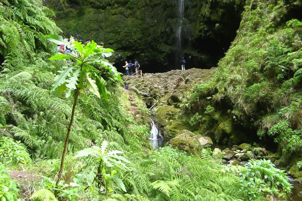 Levada Walk and Caldeirao Verde Waterfalls: Madeira - Important Information