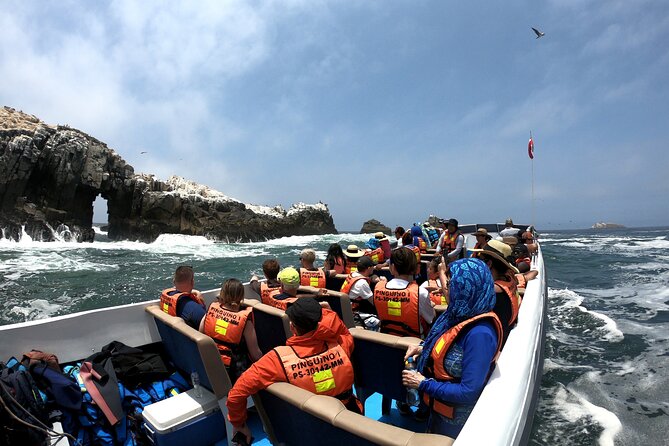 Lima Peru Sea Lions, History and Palomino Callao Islands - Customer Reviews