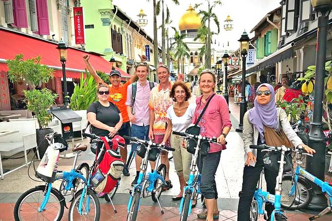 Lion City Bike Tour of Singapore - Highlights of the Tour