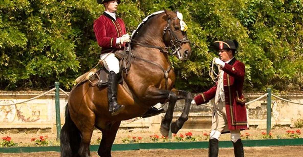 Lisbon: Morning of Equestrian Art With Lusitano Horses - What to Expect