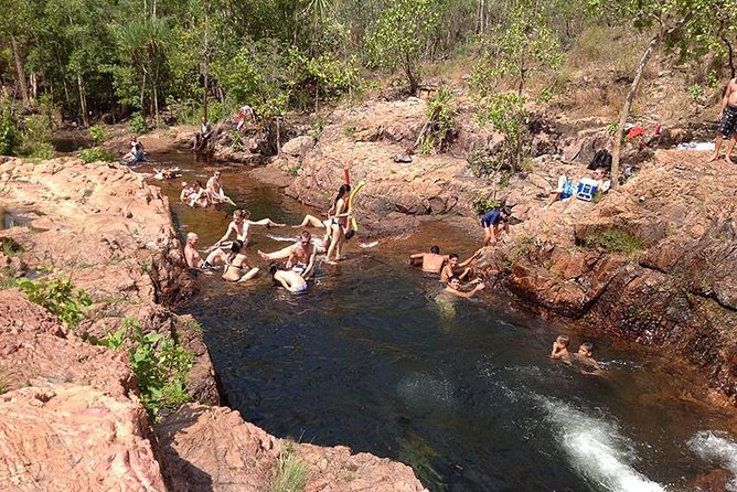 Litchfield National Park and Jumping Crocodile Cruise - Experienced Tour Guides