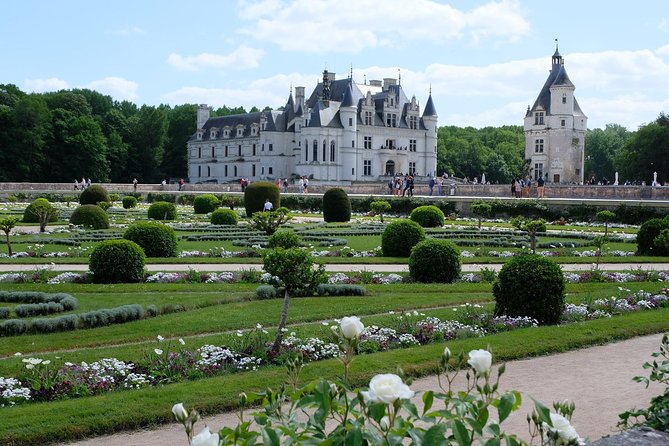 Loire Valley Castles VIP Private Tour: Chambord, Chenonceaux, Amboise - Highlights of the Châteaux