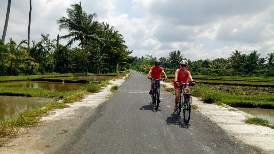 Lombok: Rice Fields, Lingsar Temple, Fun Rides - Pickup and Drop-off