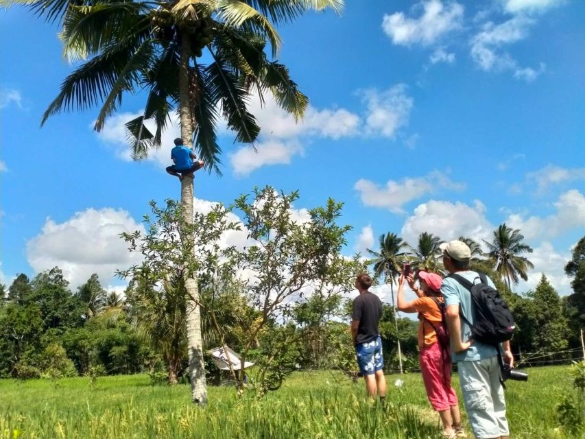 Lombok Stick Fight Dance and Tour - Aik Berik Rice Terrace