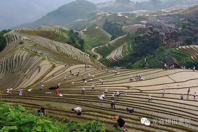 Longji Rice Terraces & Minority Villages Private Day Tour - Pricing Information