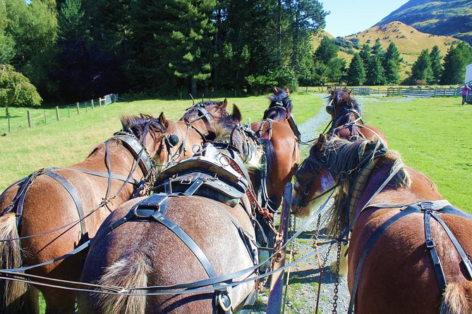 Lord of the Rings High Country Station Pioneering Experience & Scenic Day Tour - Meeting and Pickup Details