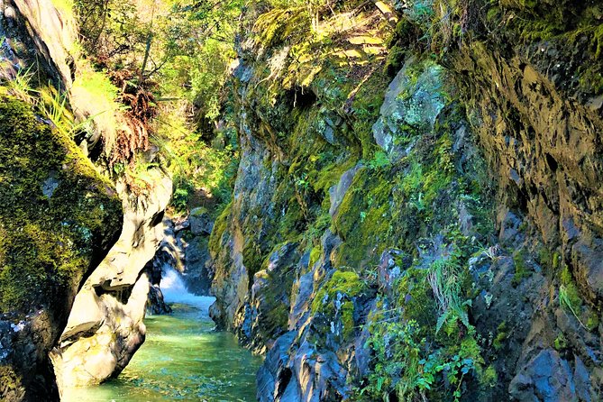 Lord of the Rings Scenic Half Day Tour From Queenstown - Inclusions and Amenities