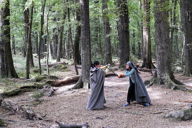 Lord of the Rings Scenic Tour - Experience and Guide Insights