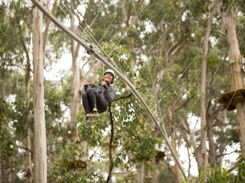 Lorne: Live Wire Park Ticket With Zip Line Rollercoaster - Experience Description & Inclusions