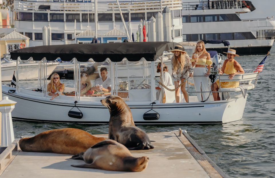 Los Angeles: Luxury Cruise With Wine, Cheese & Sea Lions - Local Wildlife Observation