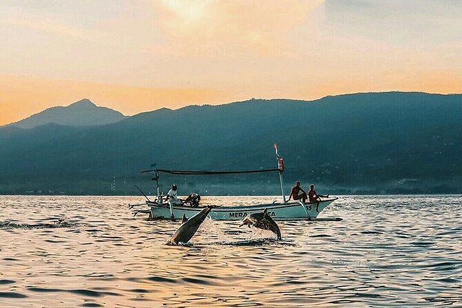 Lovina Dolphins Watching, Git Git Waterfall and Ulun Danu Tour - Inclusions of the Tour