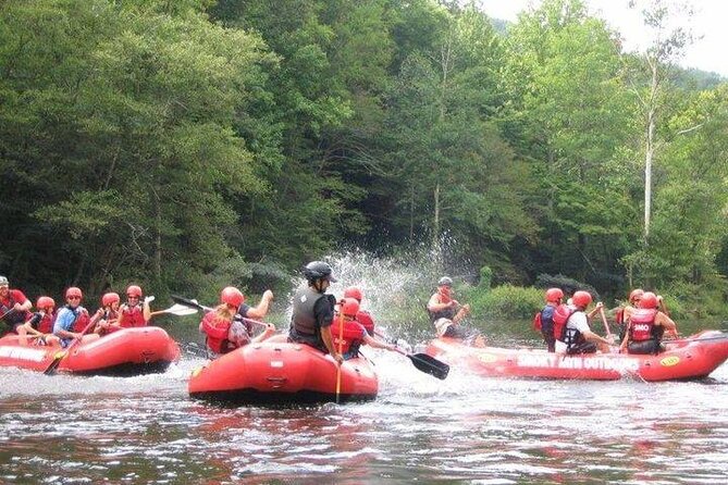 Lower Pigeon River Rafting Tour - Accessibility Features