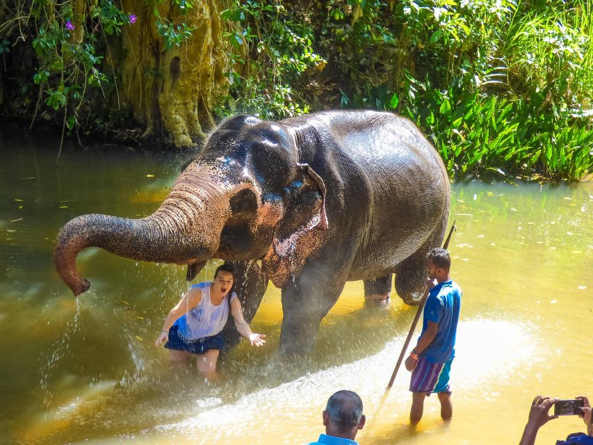 Luang Prabang Elepphant Keeper Bathe Option Kuangsi Tour - Elephant Keeper Program