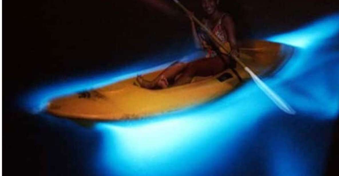 Luminous Lagoon Night Tour - Boat Ride and Glow Experience