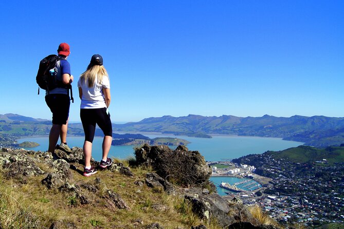Luxury Private Guided Crater Rim Walk on Banks Peninsula - Itinerary and Schedule