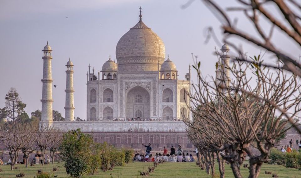 Luxury Taj Mahal Tour From Delhi - Highlights of the Experience