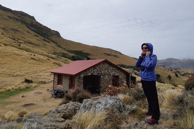 Lyttelton Shore Excursion -Guided Hiking Tour Packhorse Hut - Health and Safety Guidelines