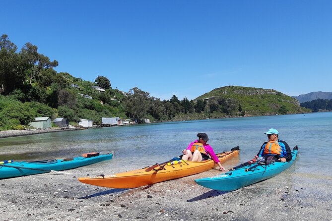 Lyttelton Shore Excursion - Sea Kayaking, Quail Island & Harbour - Physical Requirements