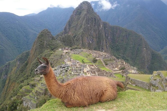 Machu Picchu Full Day - Transportation and Itinerary Insights