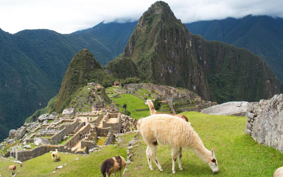 Machupicchu Tour by Tourist Train in 2 Days - Train Journey to Aguas Calientes