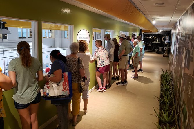Made in Aruba Sightseeing Tour - Aruba Rum Tasting