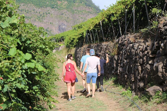 Madeira Island Private Wine Full-Day Tour in All Terrain Vehicle - Pickup Locations