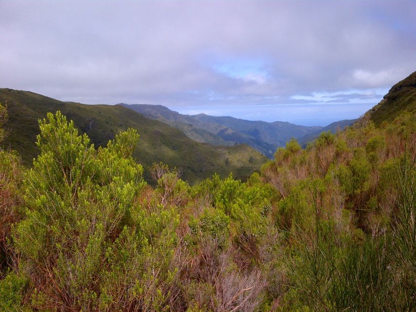 Madeira: Rabaçal Valleys 3-Hour Guided Walk - Booking Information