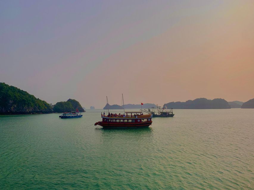 Magical Bioluminescence Plankton Tour - Highlighted Experiences