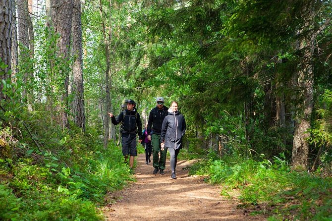 Magical Taiga Forest Hike With Lunch and Transportation - Guided Hike and Learning