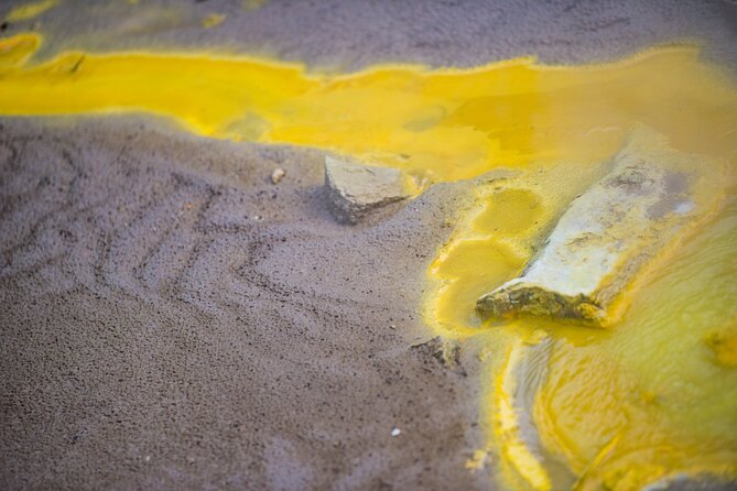 Magical Wanderer Experience Private Tour to Te Puia & Wai-O-Tapu - Participant Requirements